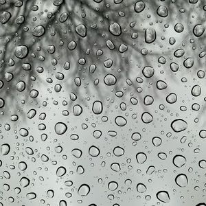 Meet your Posher, Bryan